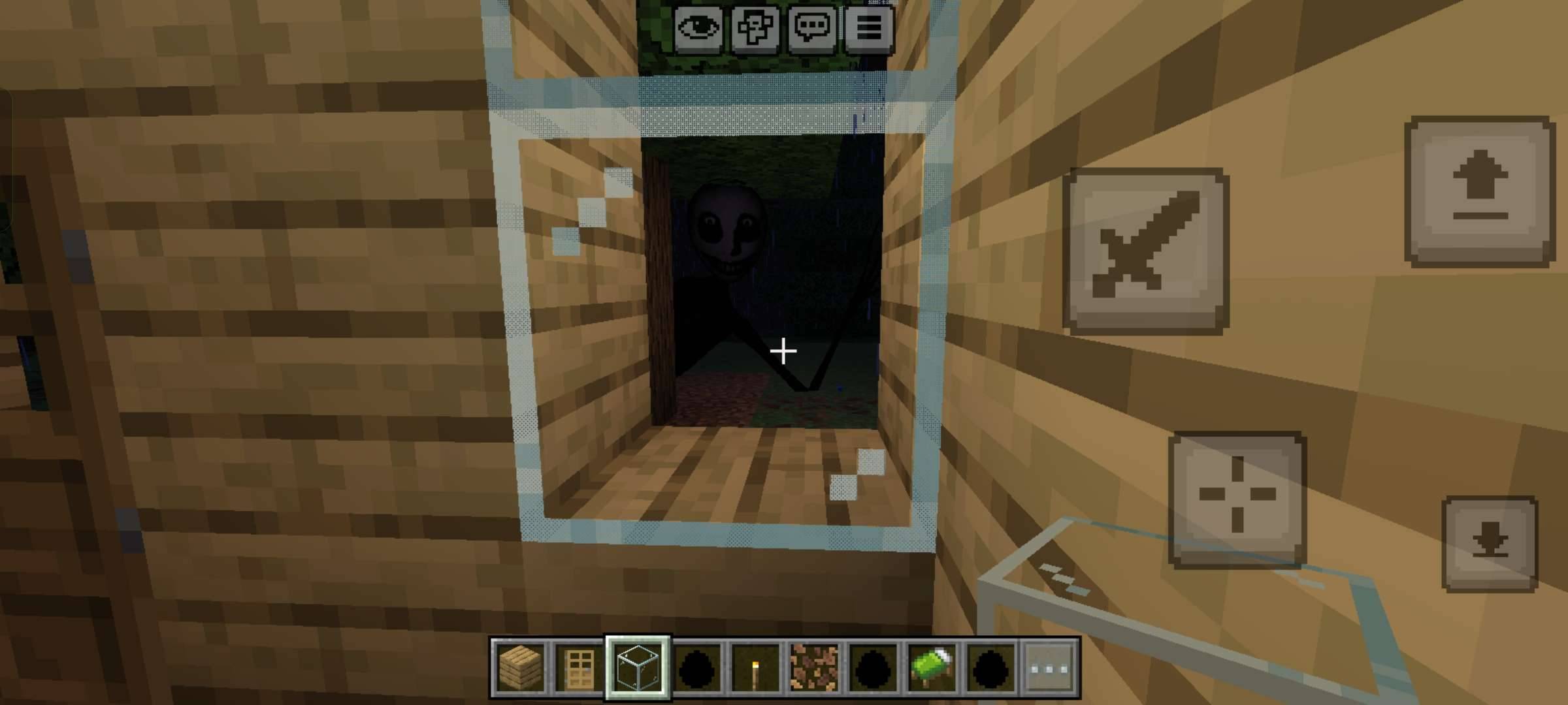 209069.jpg