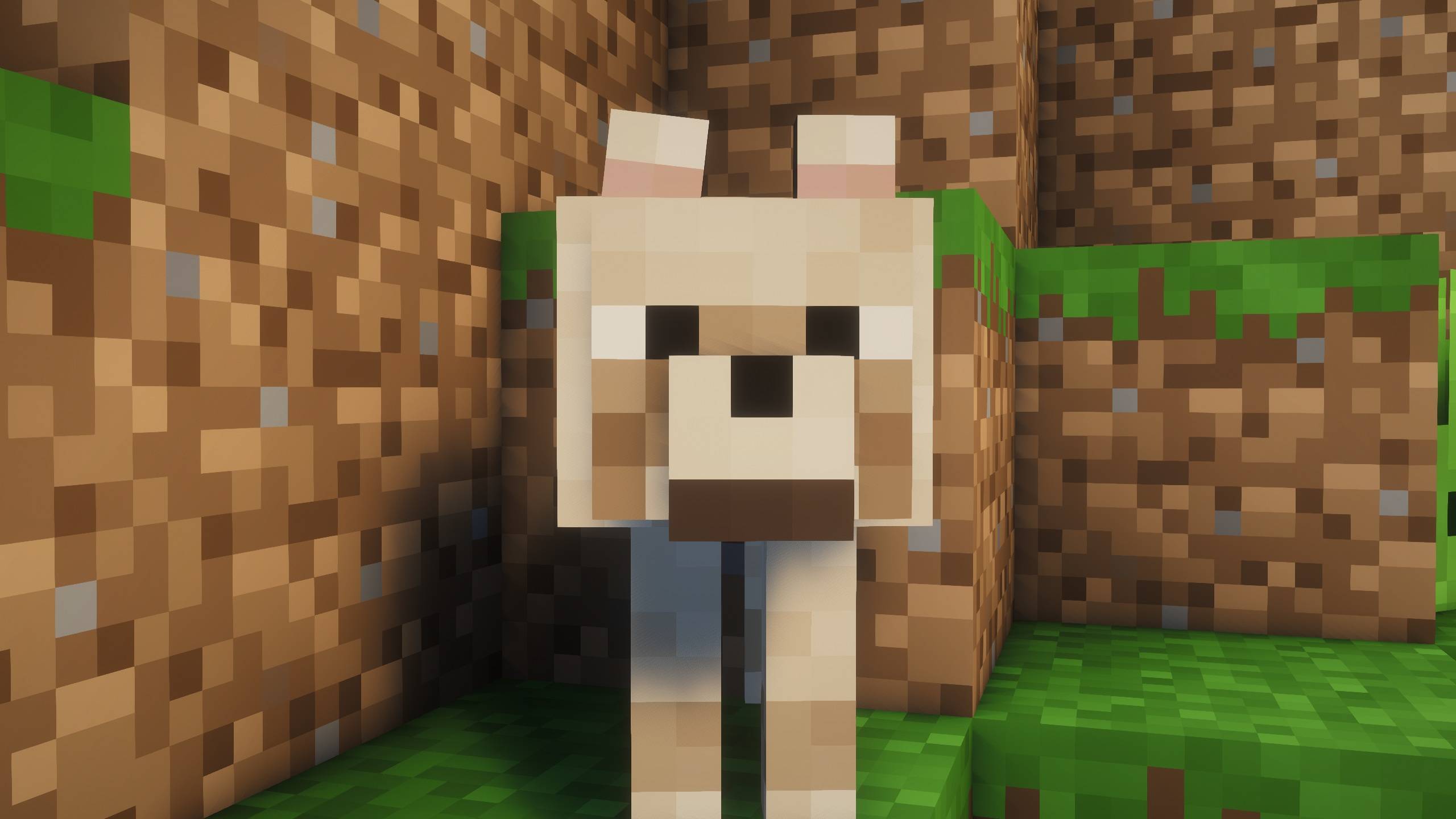 Muffin