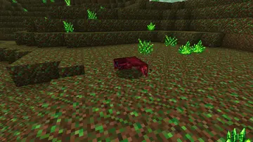Minecraft_2026 (3).webp