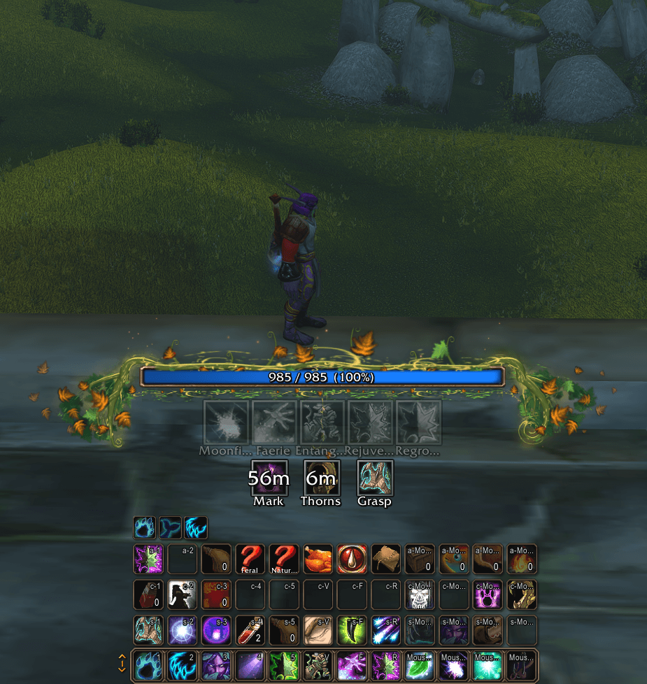 Druid HUD out of form