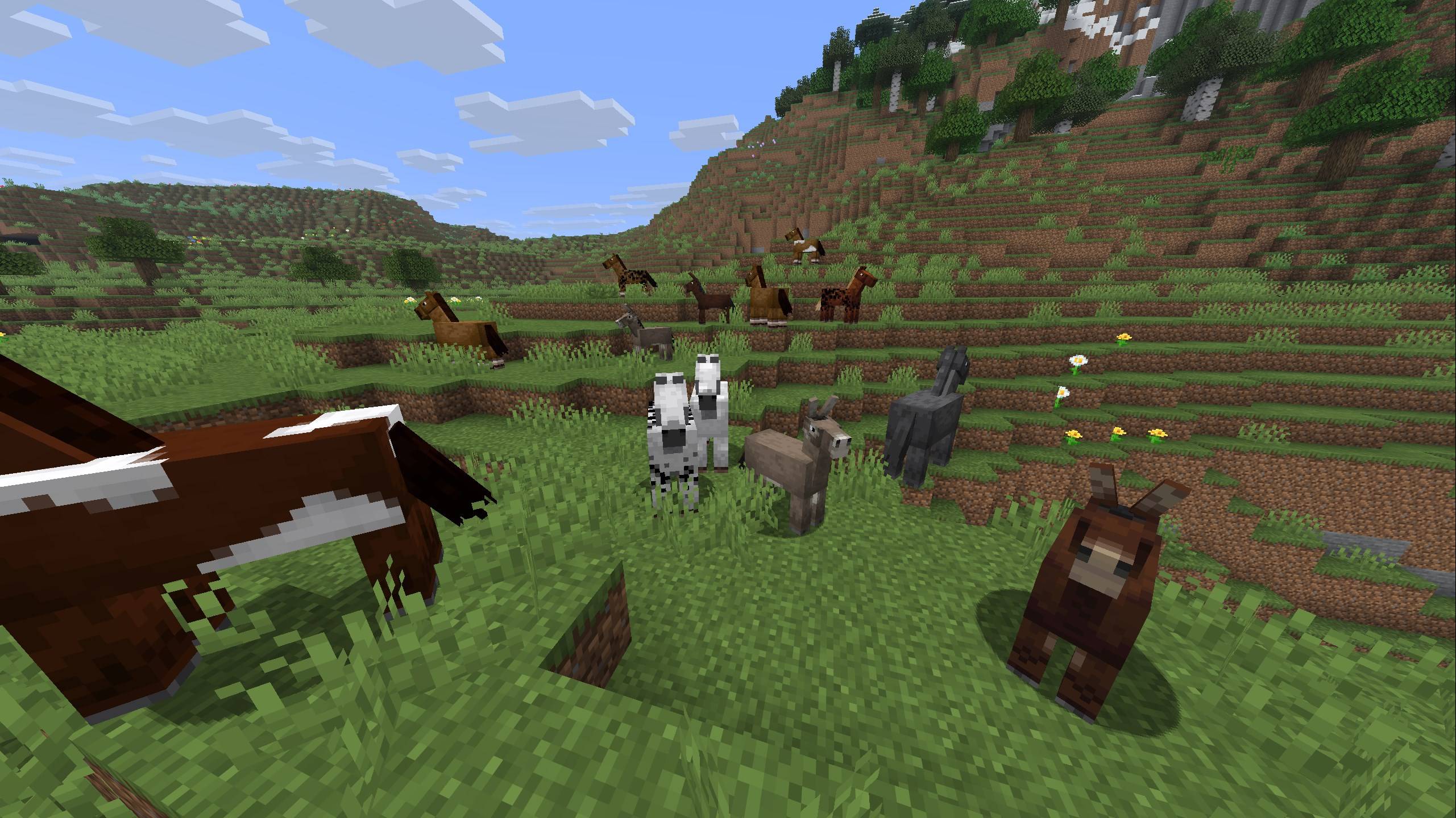 Horses, donkeys, and mules form herds with each other