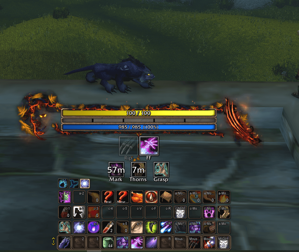 Druid HUD in Cat Form