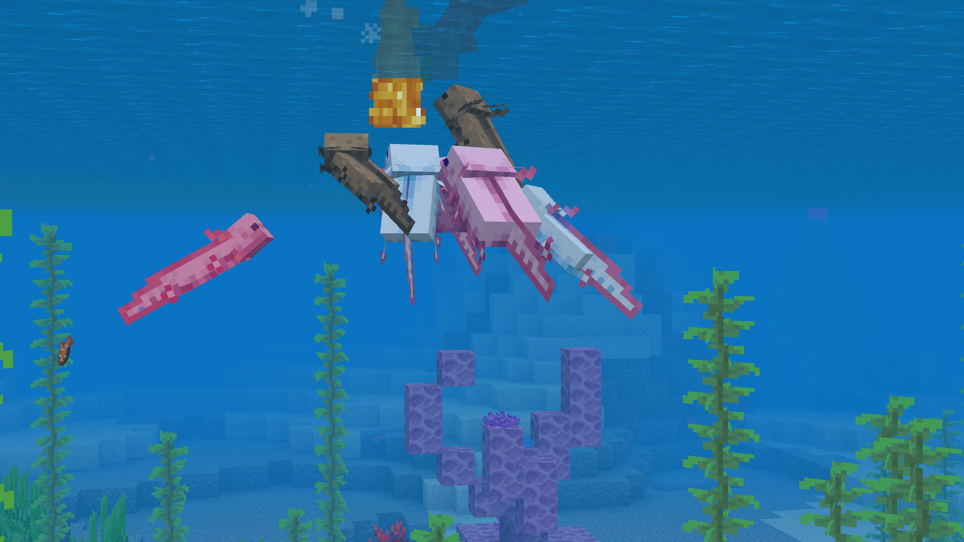 Thumbnail Screenshot 2026-10-02 161131.png