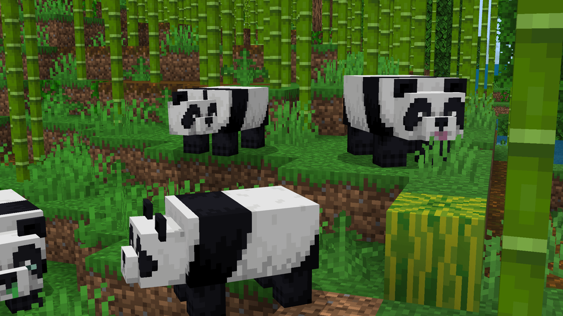 Thumbnail Screenshot 2026-10-02 161004.png