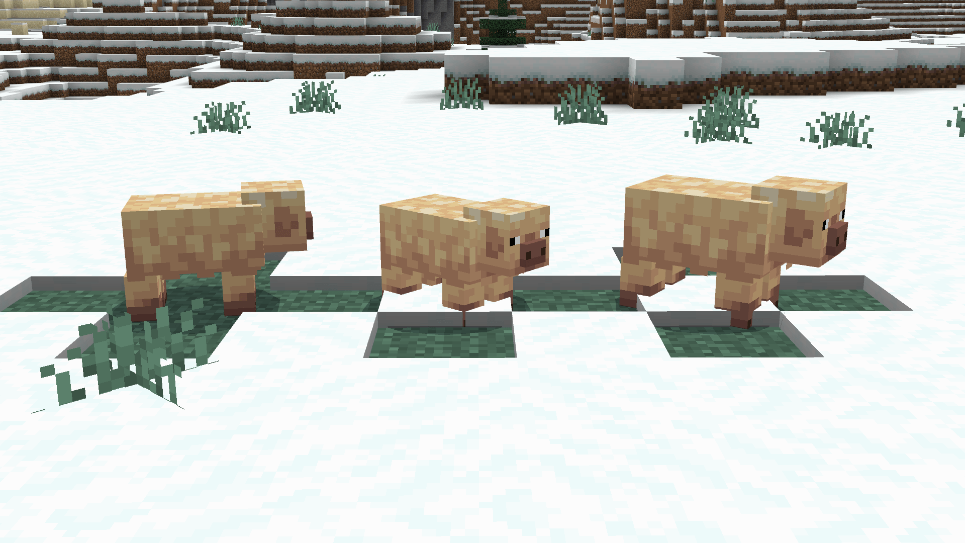 Thumbnail Screenshot 2026-10-02 155748.png