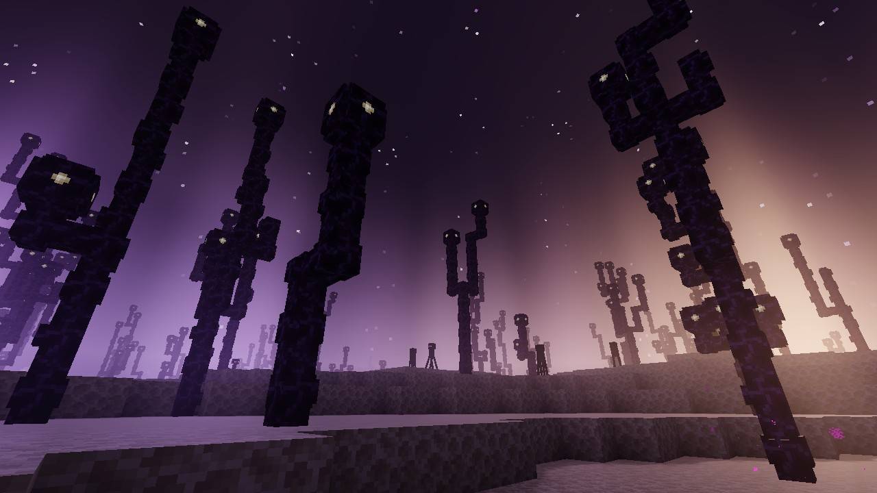 Newb X Future thumbnail 18