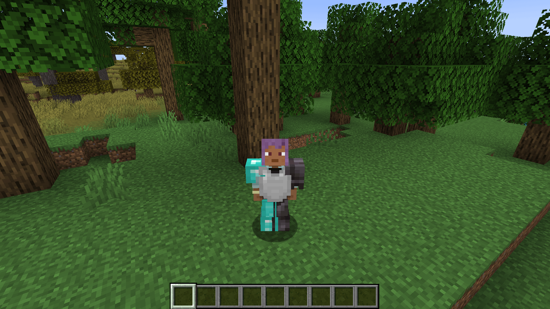 A Player Wearing Mismatched Armor Using The Mod