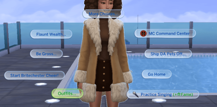 OutfitPieMenu2A.png