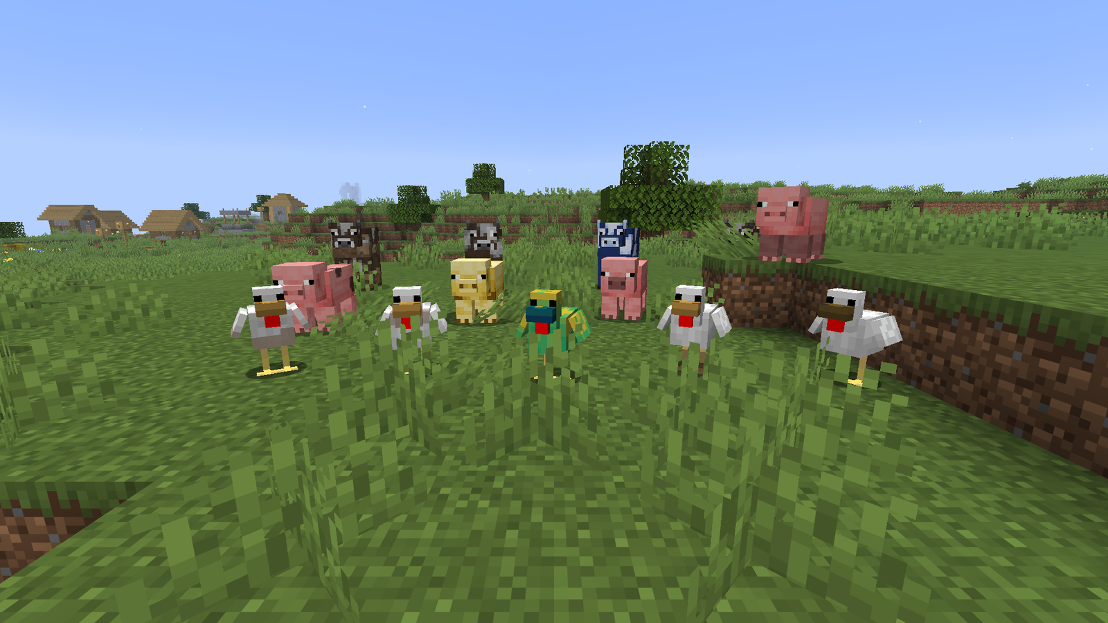 Farm animals with their own looks, including a rare blue cow.