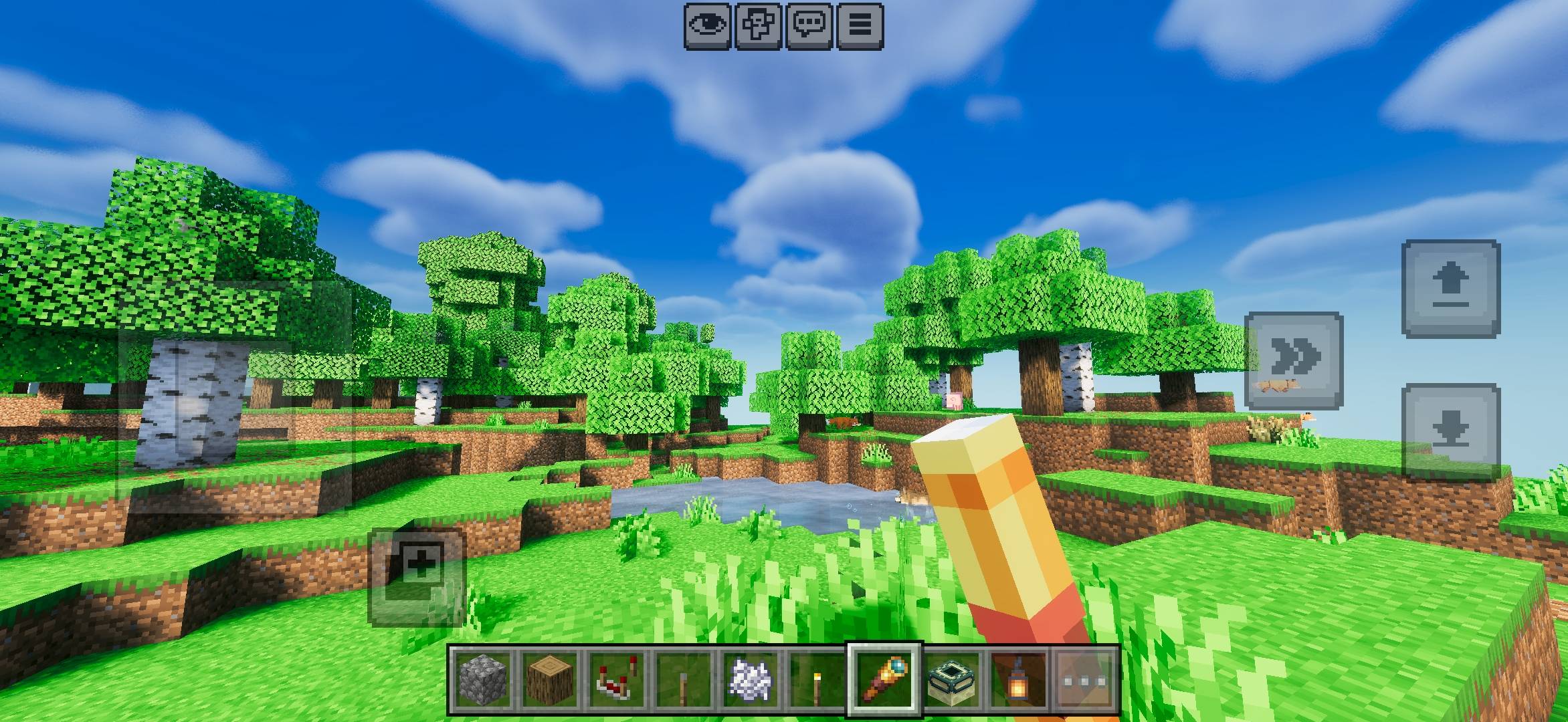 1000104976.jpg