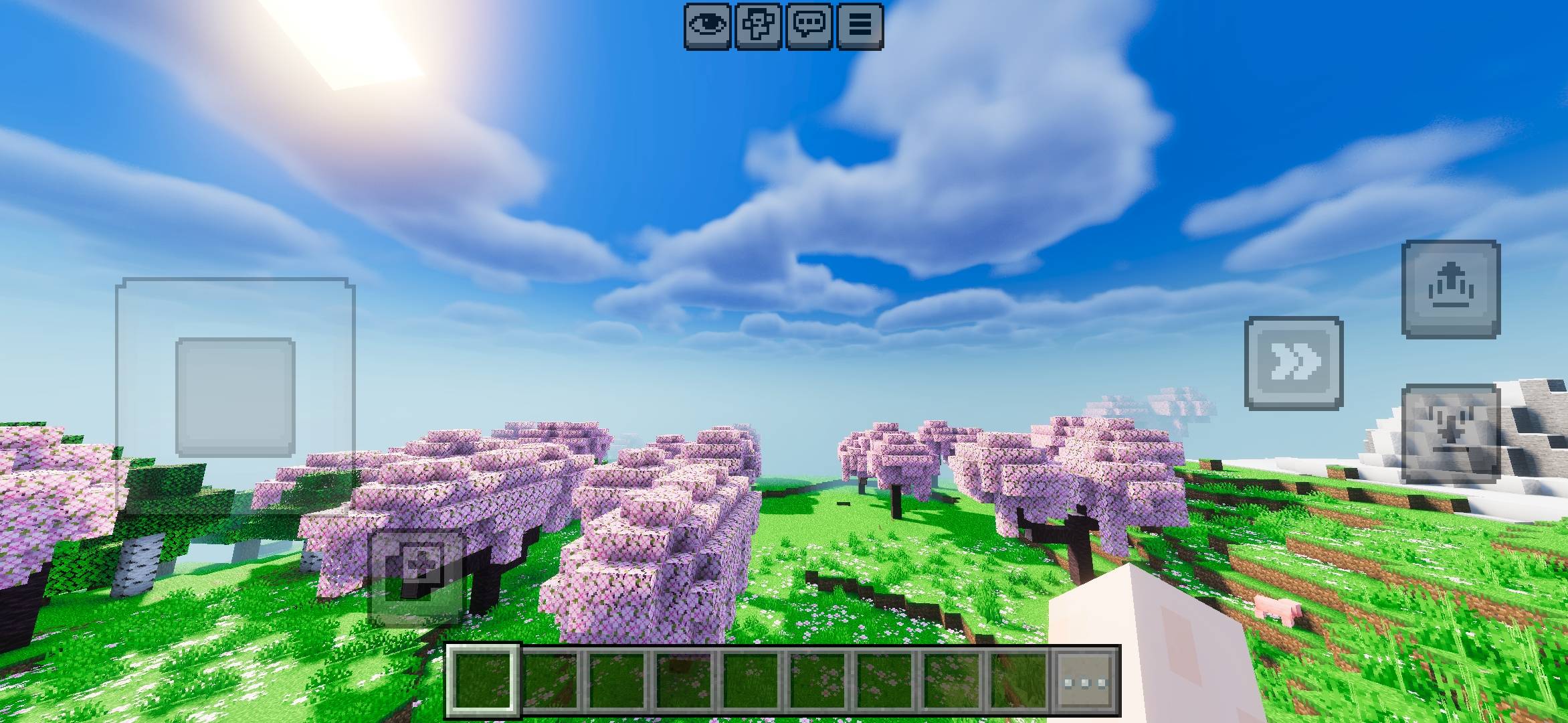 Thumbnail 1000104994.jpg