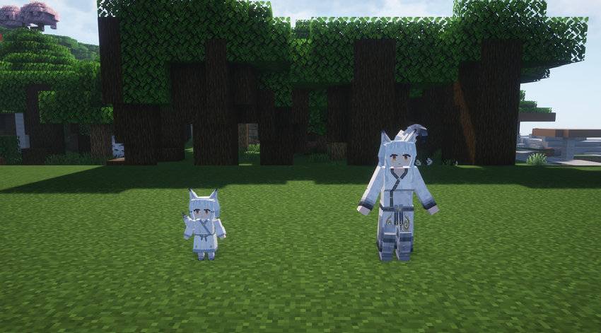 screenshot thumbnail