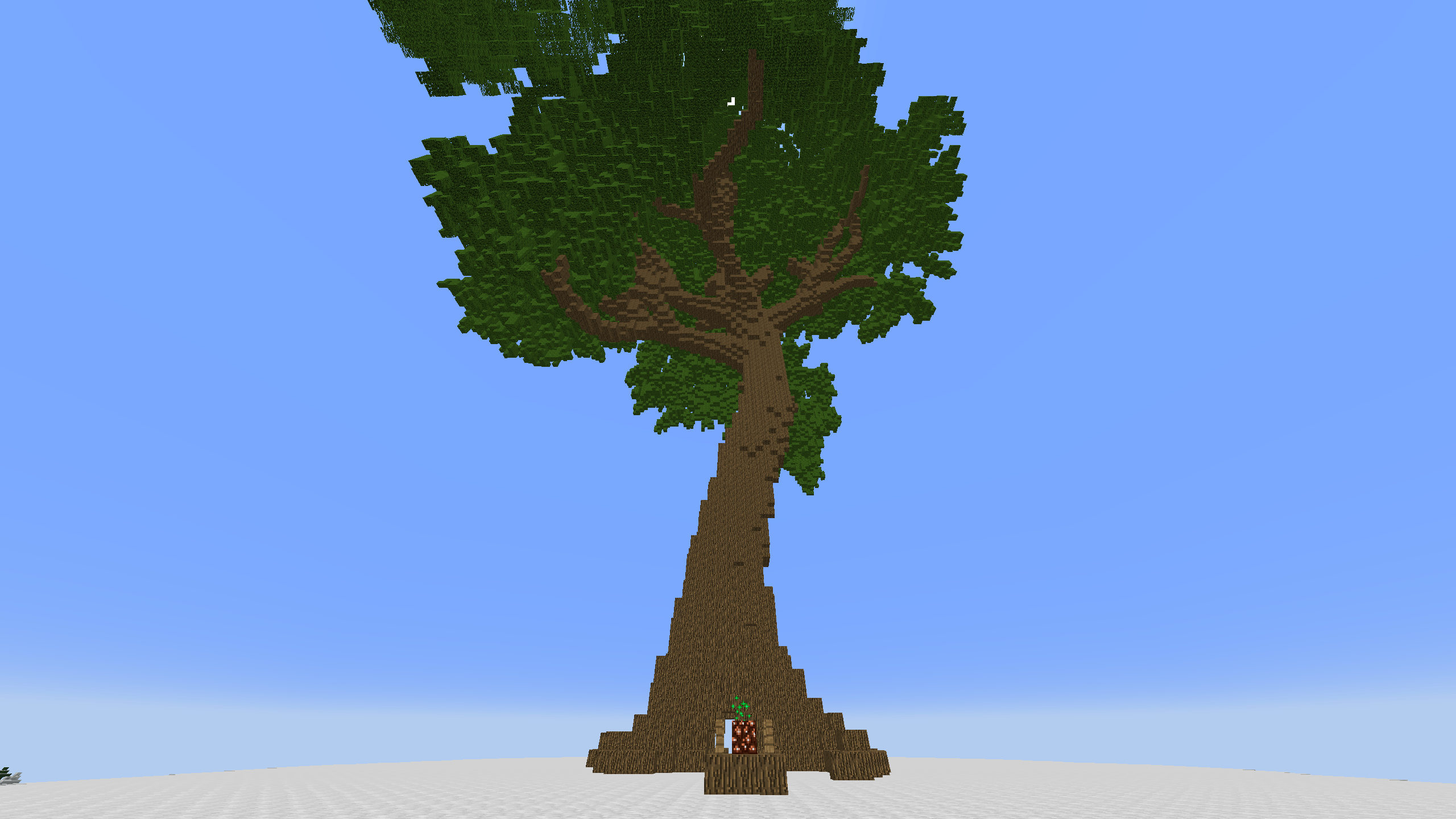 The Seed!
