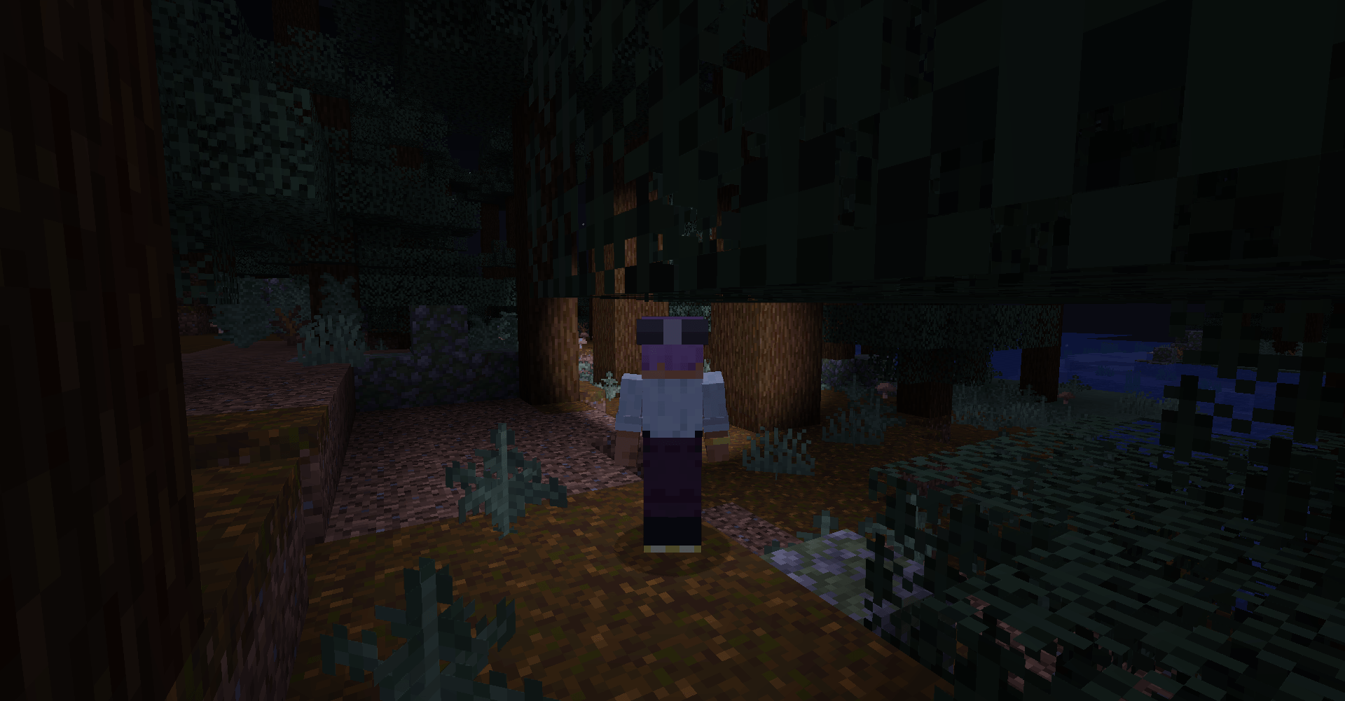 Thumbnail 08_forest_night_third_person.png