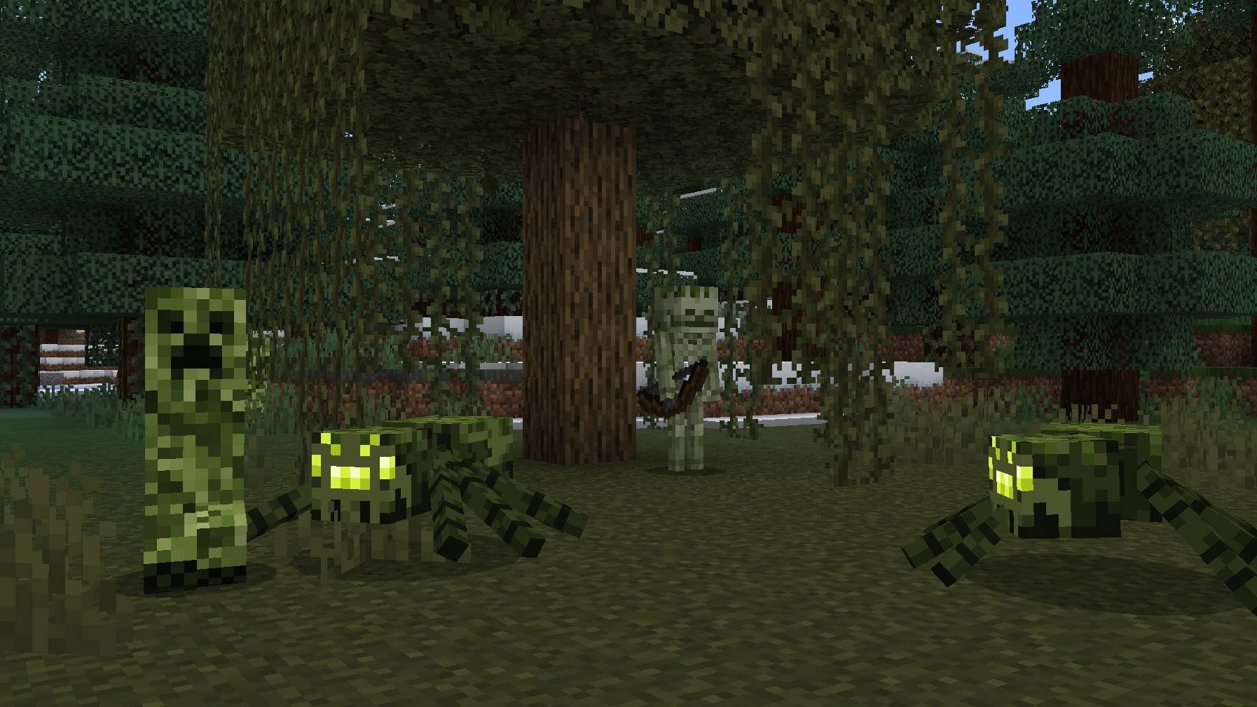 Swamp
