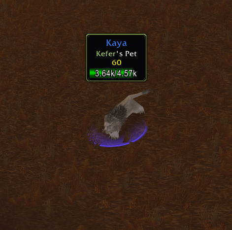The tooltip opens right above what you hover (Position Above, Distance 50) and flips near screen edges. The health bar sits inside it with the health as text. Unflagged pet in blue; owner name and border in the owner's class color.