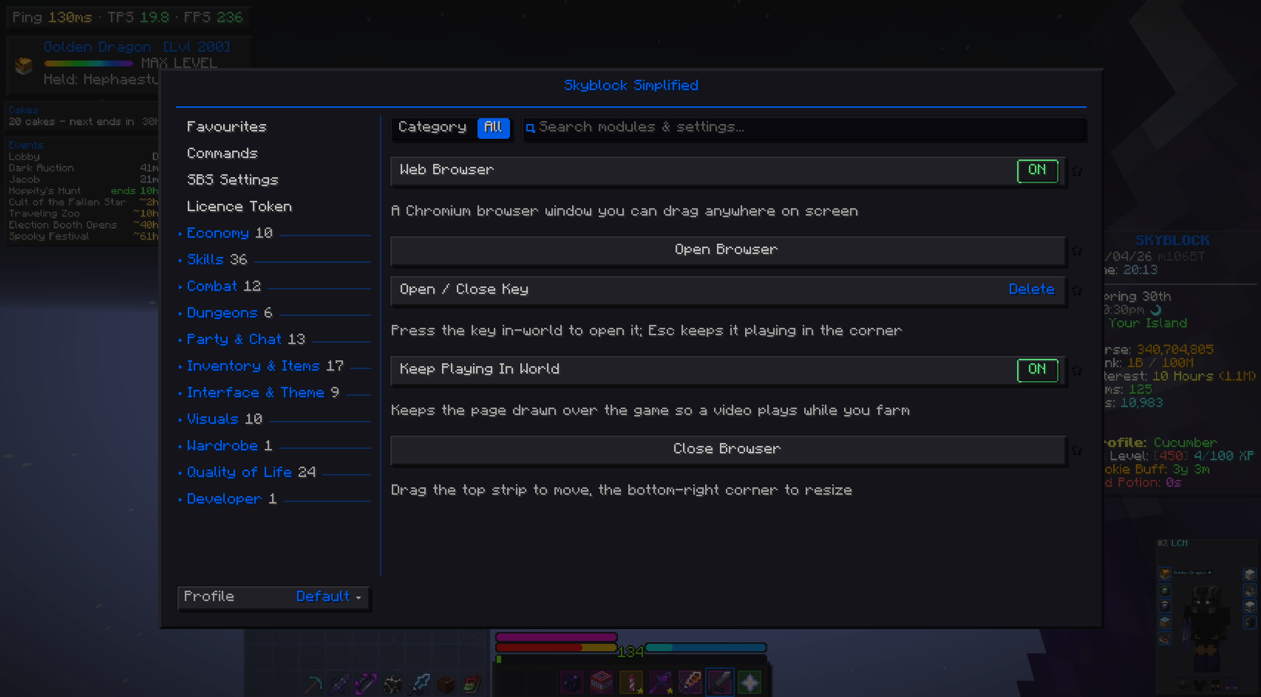 Thumbnail Ingamewebbrowser.png