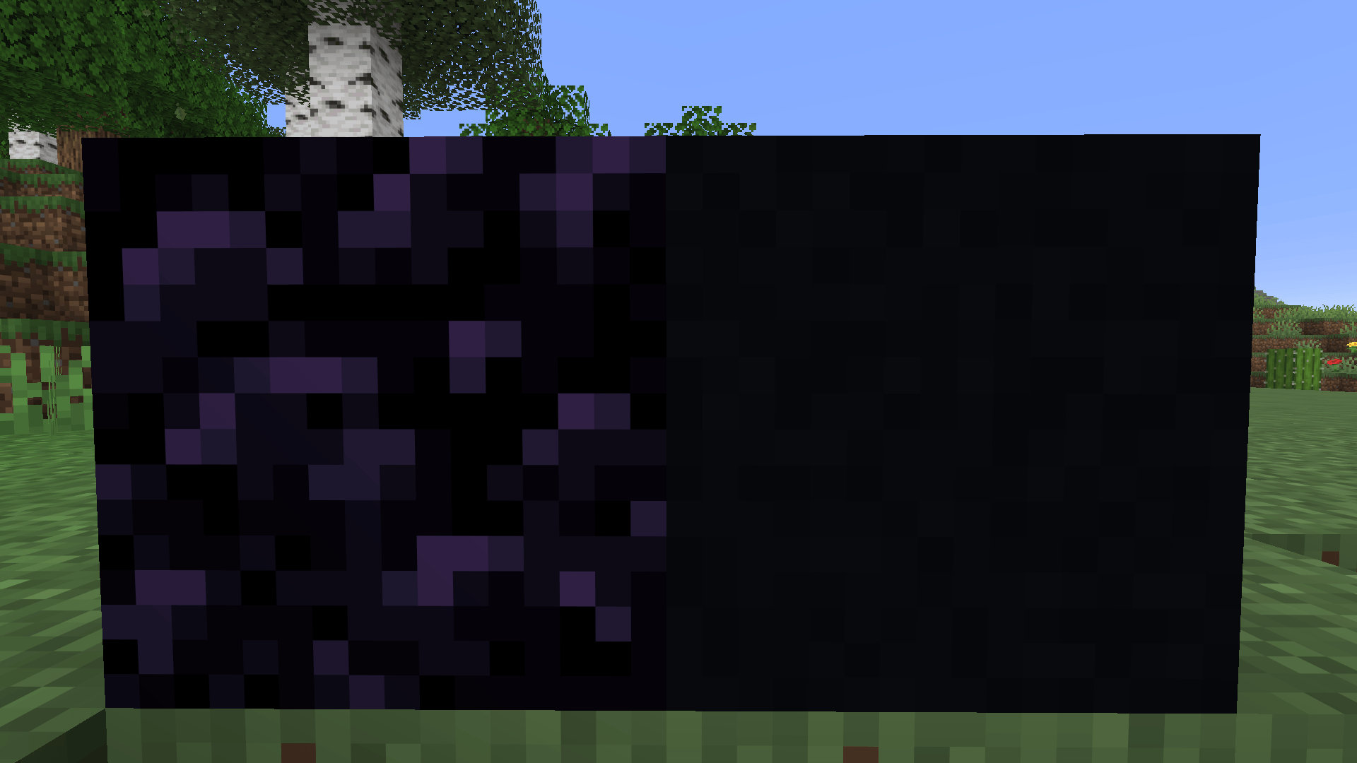 On the left is without the texture pack on the right is with the texture pack.