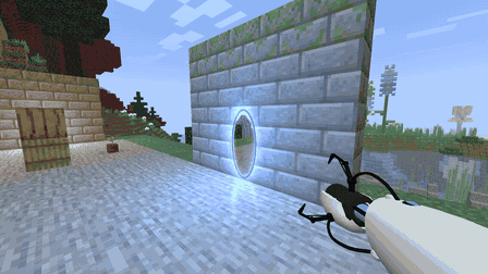 Live portal view