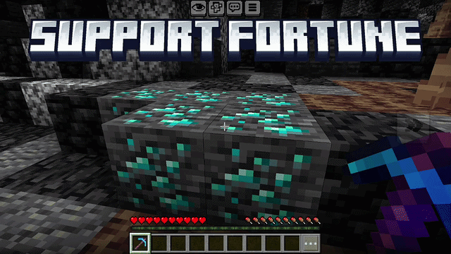 Support fortune