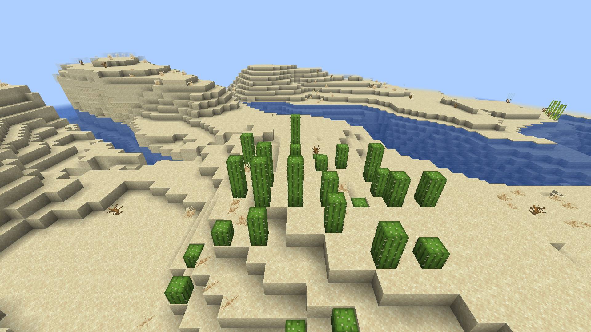 Thumbnail A field of cactus in the desert.