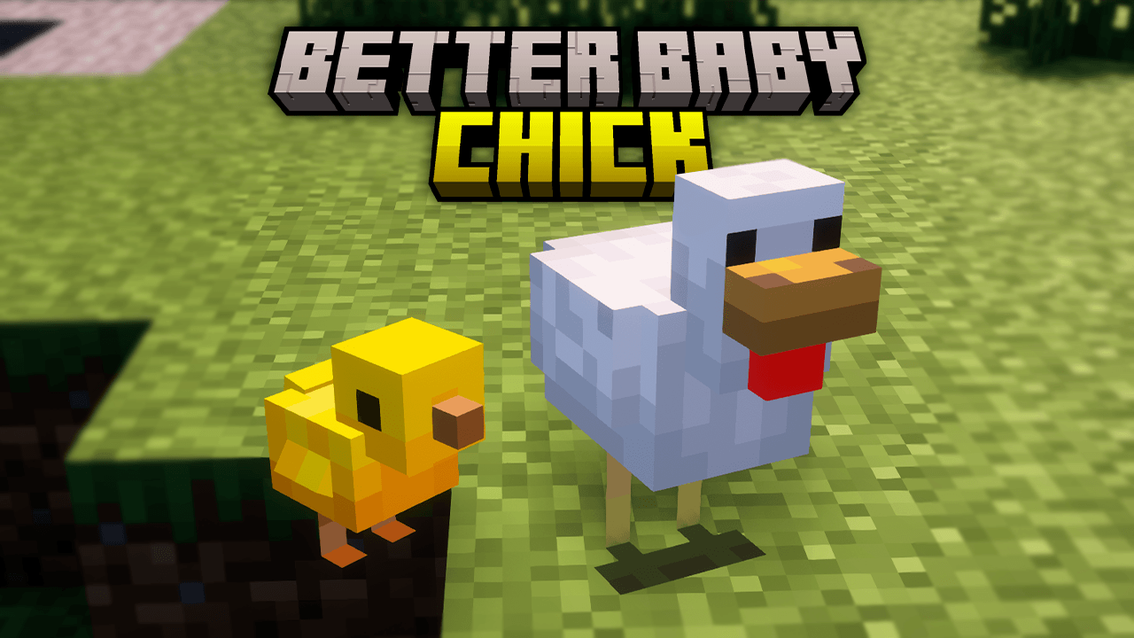Banner better baby chick.png