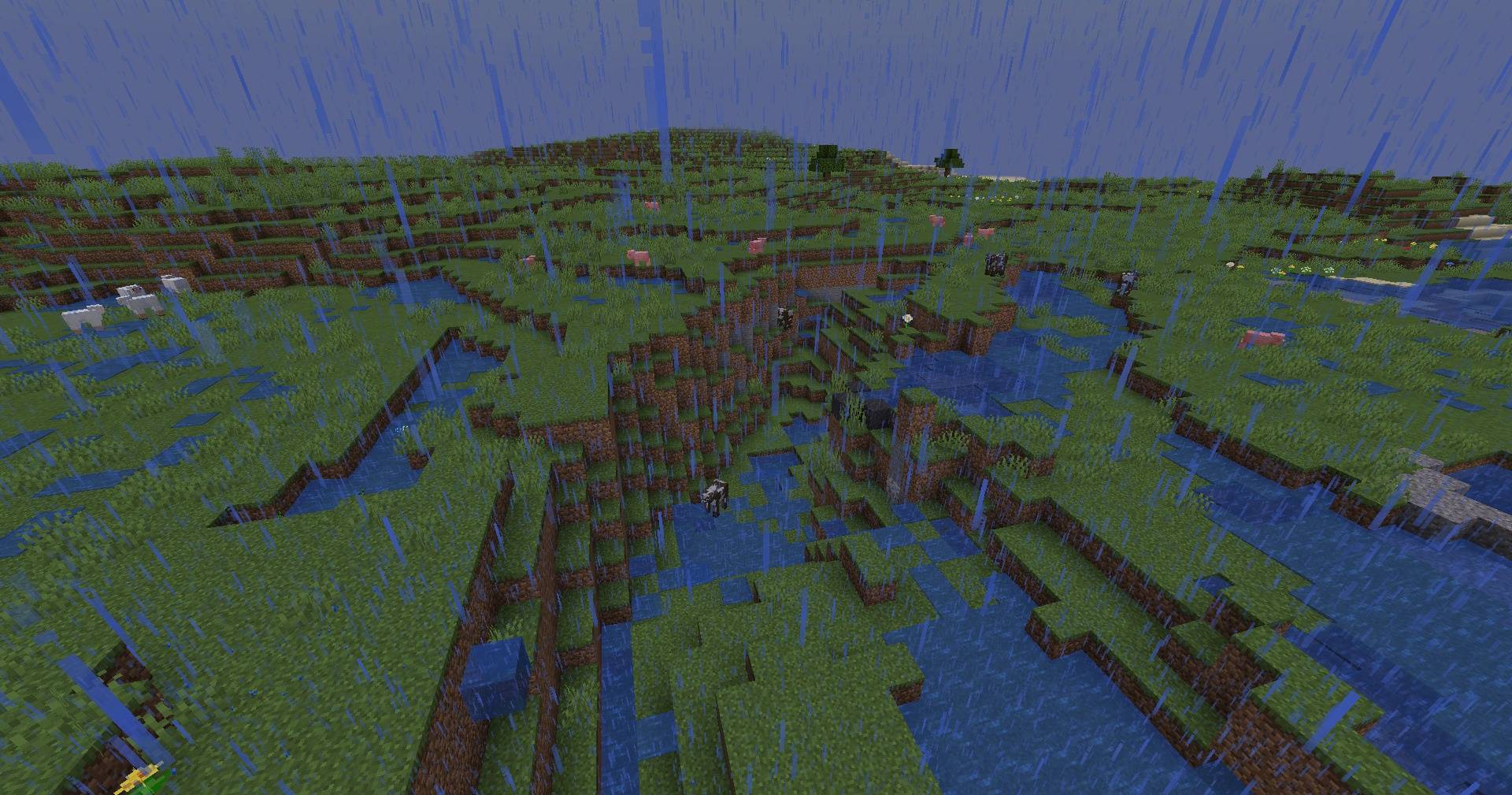 Rain Begins