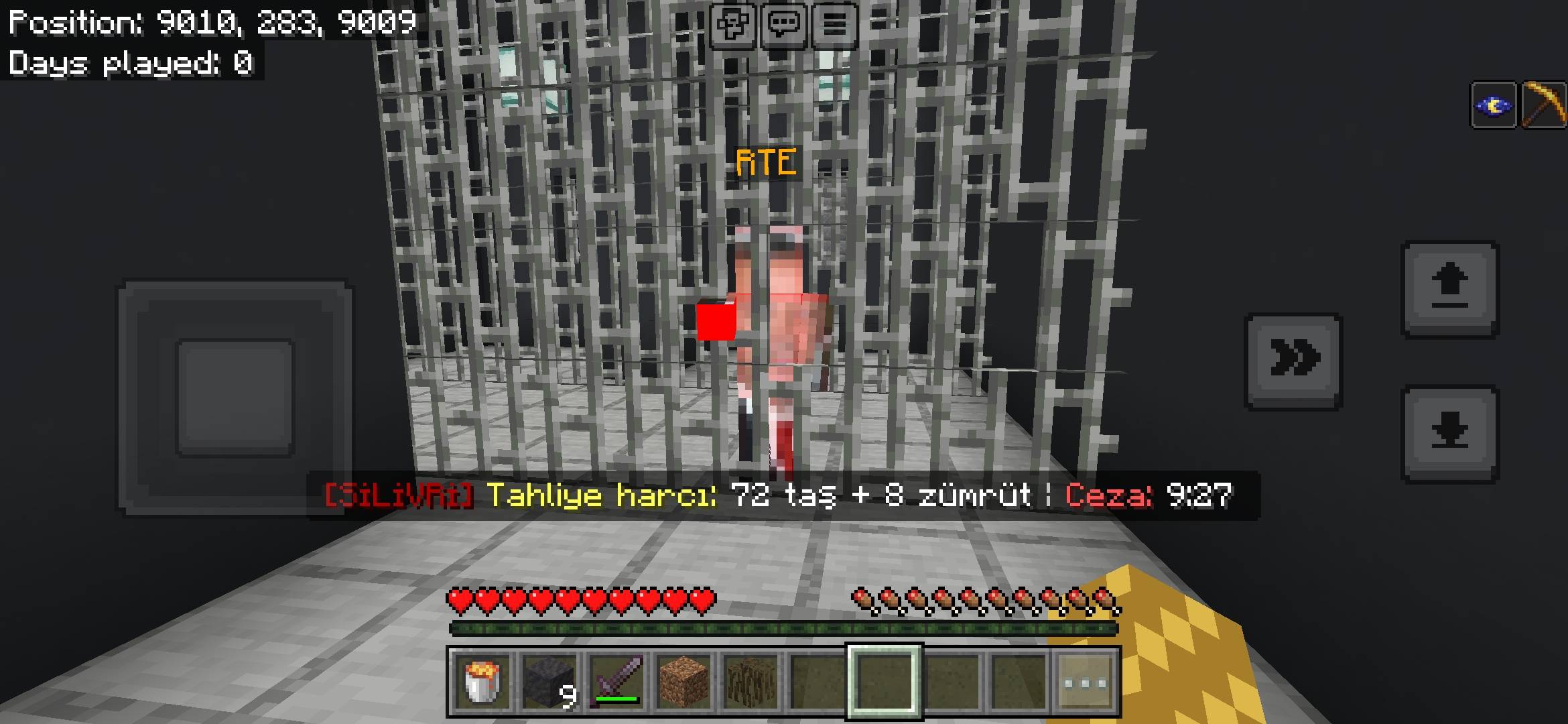 23856.jpg