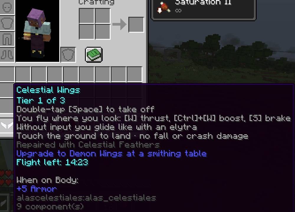 Thumbnail Controls, tier and flight time left