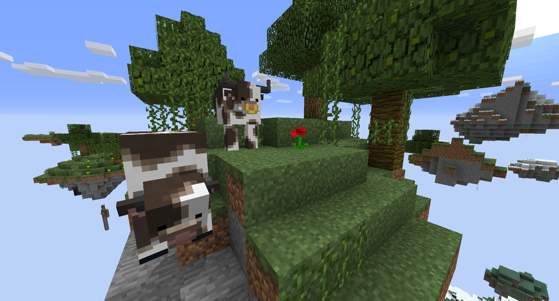 Cows on a lone island