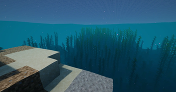 Thumbnail Clear teal water with seagrass and colours that fade softly with depth.