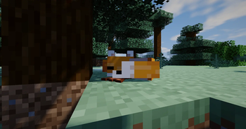 Thumbnail A sleeping fox in a taiga forest, with soft shadows and gentle sunlight.