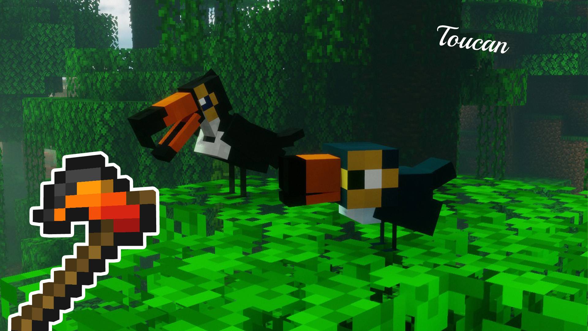 Toucans are great at planting! Throw them some seeds and they'll plant them for you!