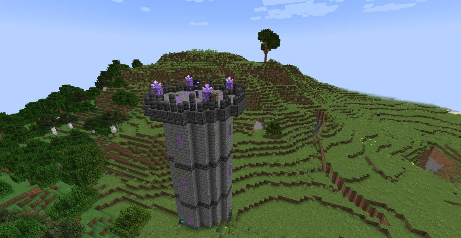 TORRE.jpeg