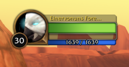 Bear Form. The mana bar sits directly under the red rage bar and uses the same style as the default player frame.