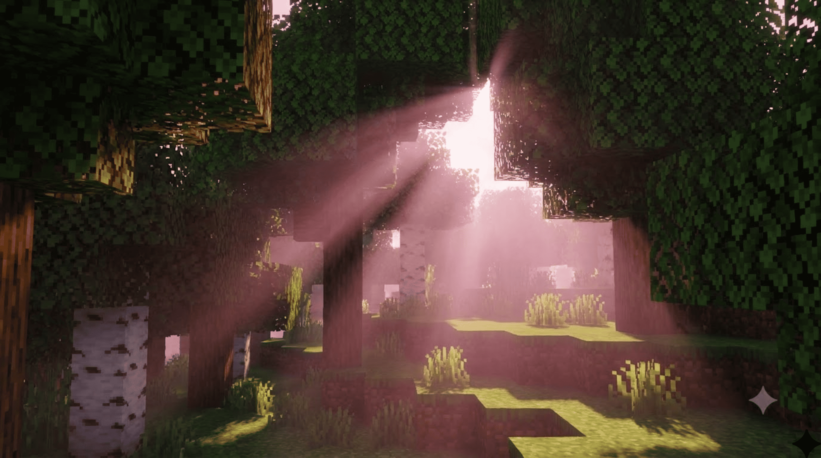 Sunlight_filtering_through_foresâ¦_20261008130952_no_watermark (1).png