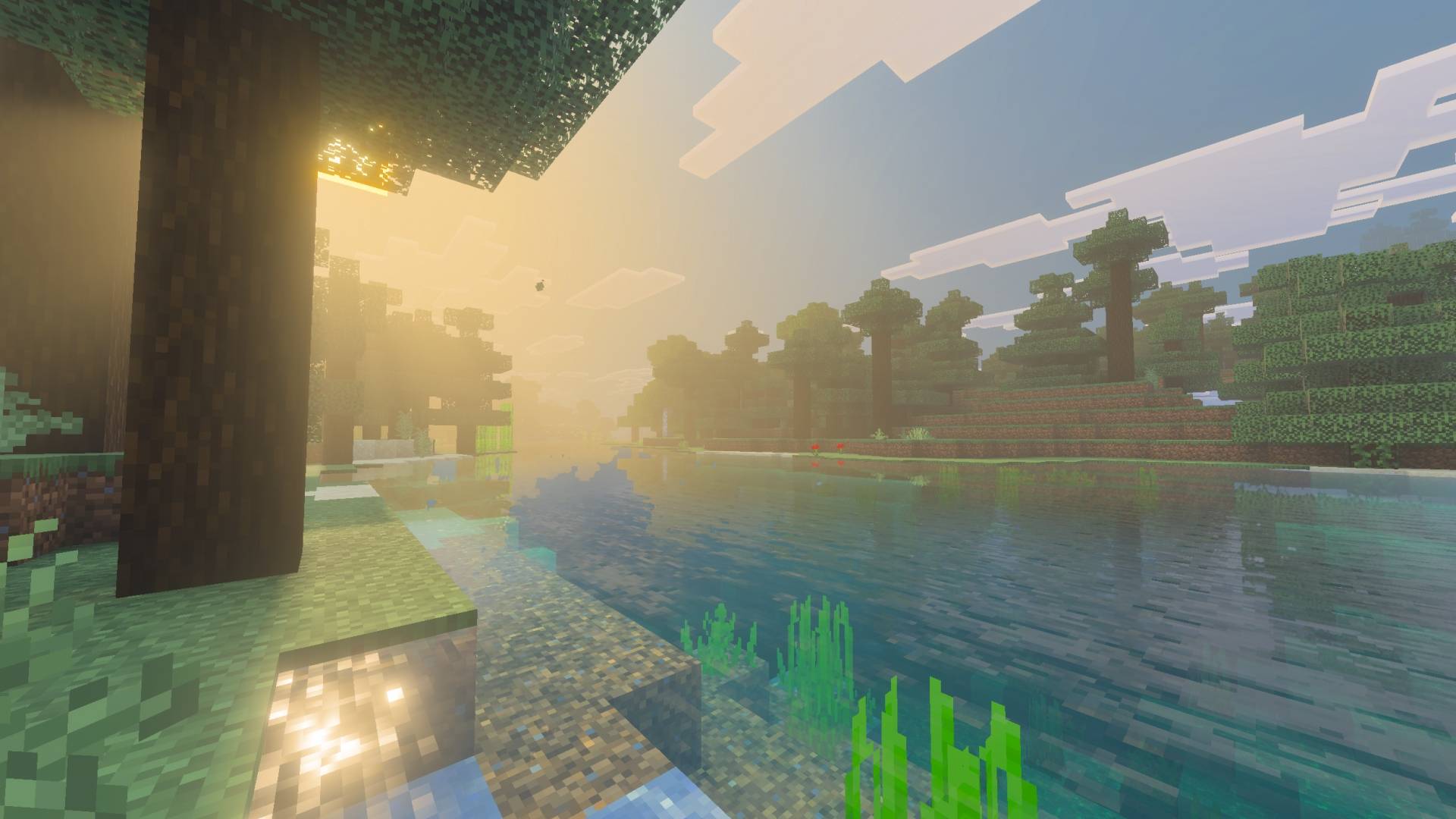 MCP Visuals (1).jpg