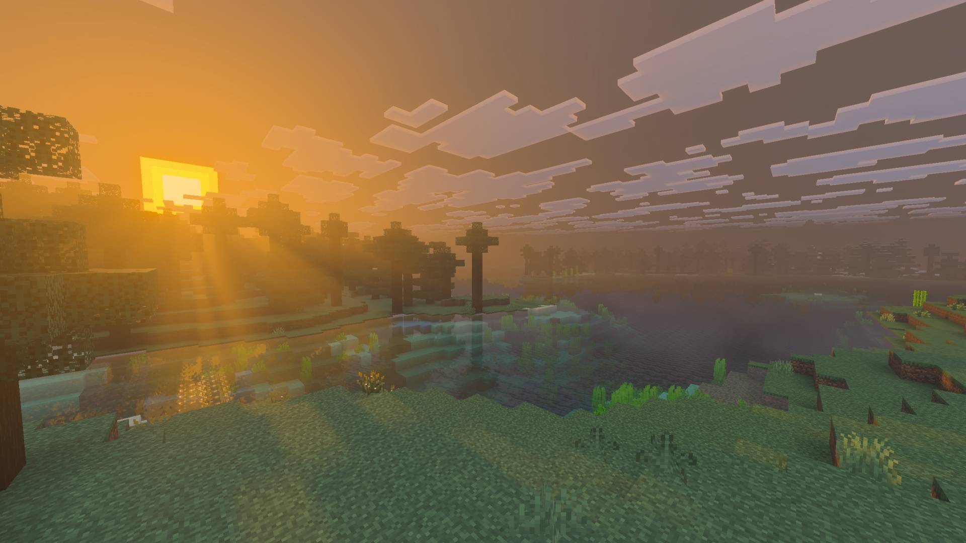 MCP Visuals (2).jpg