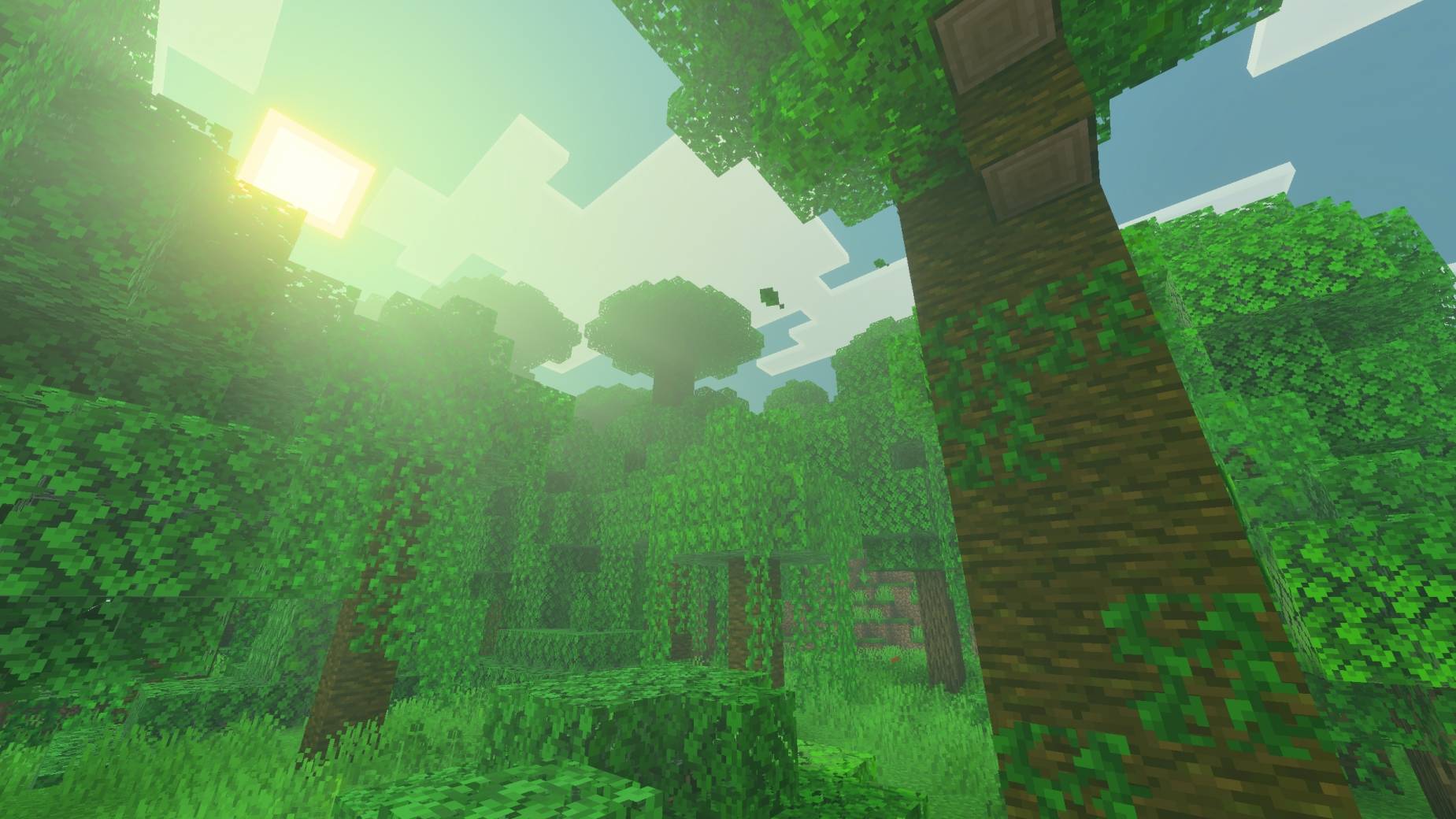 MCP Visuals (3).jpg