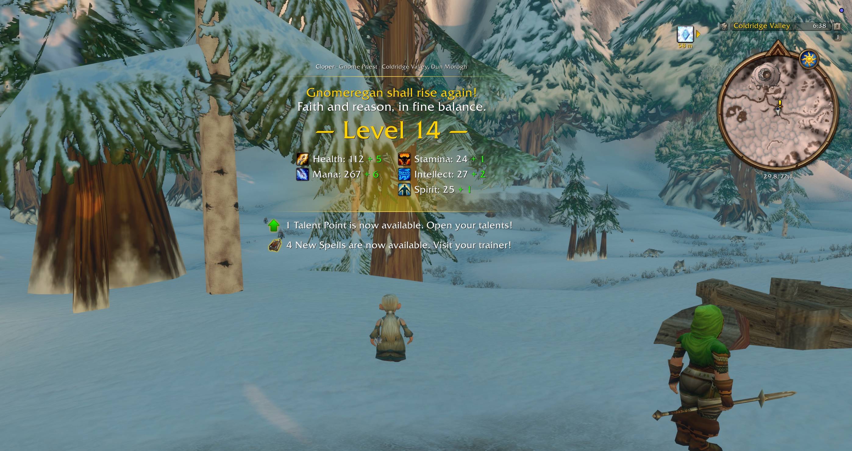 Gnome Priest Level Up.jpg