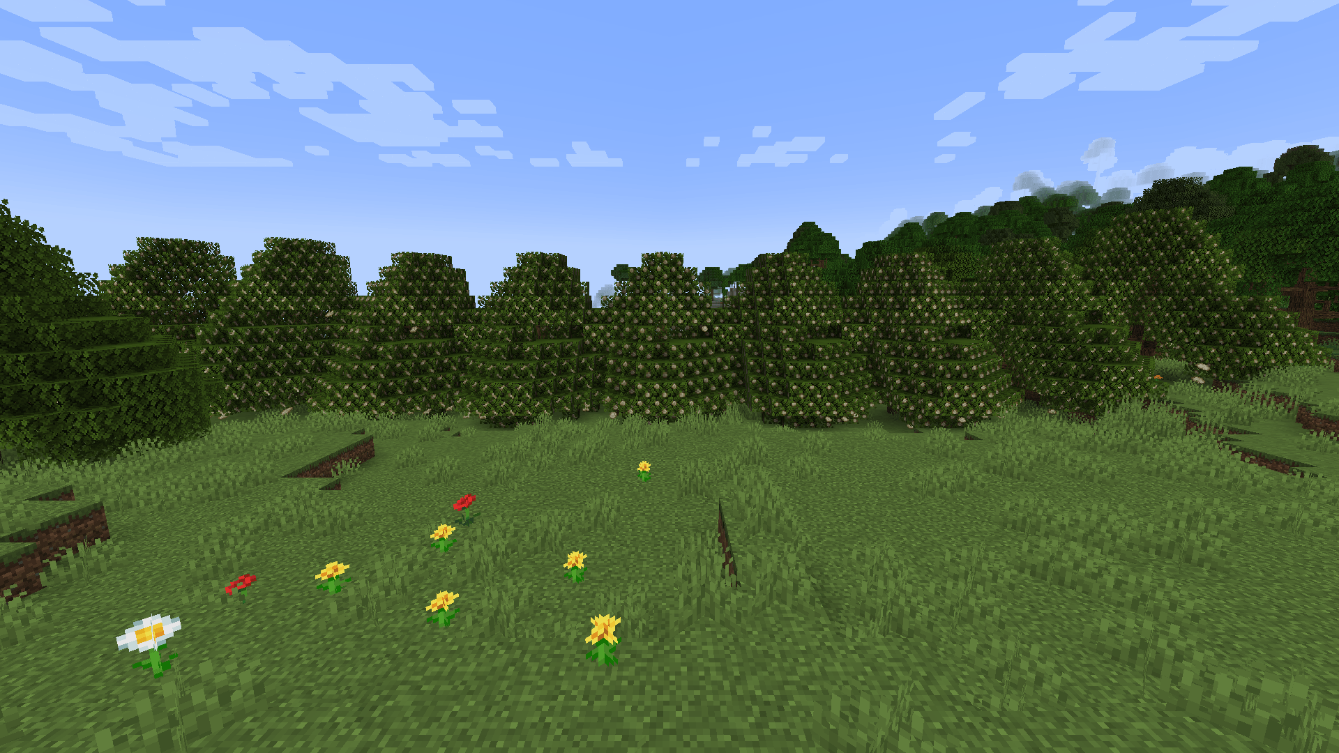 Nut trees