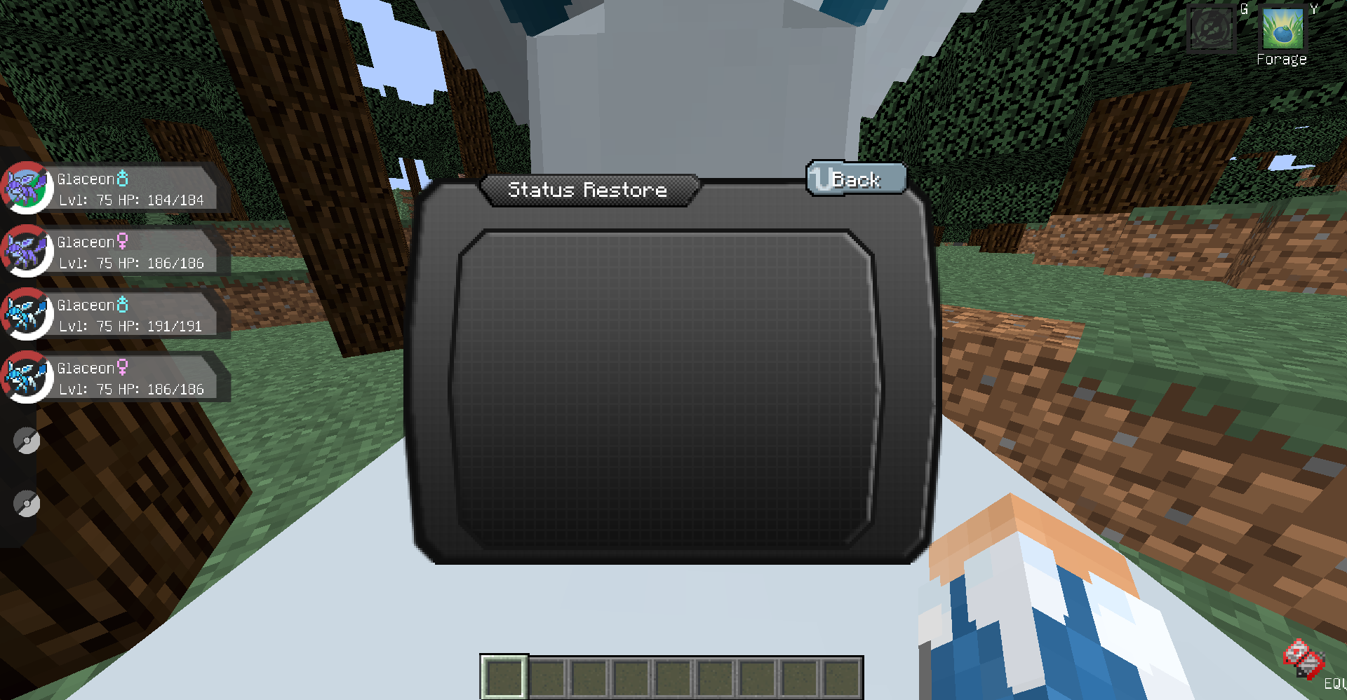 GUI Bag>Restore