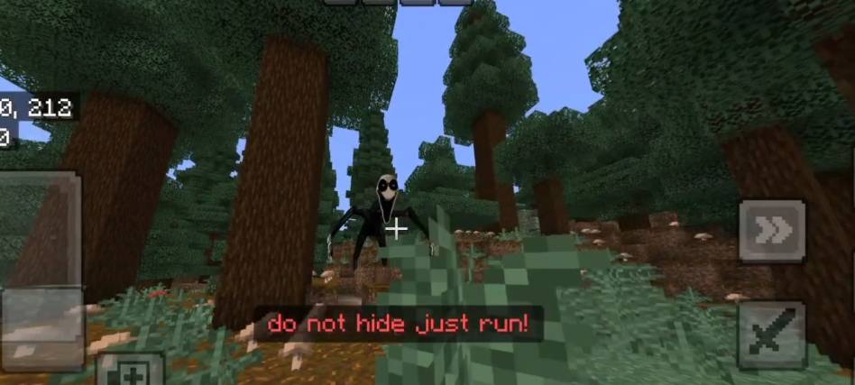 1000241584.jpg