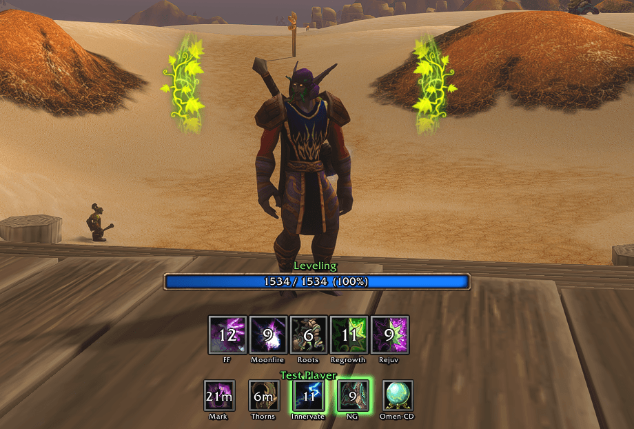 Druid HUD while levelling