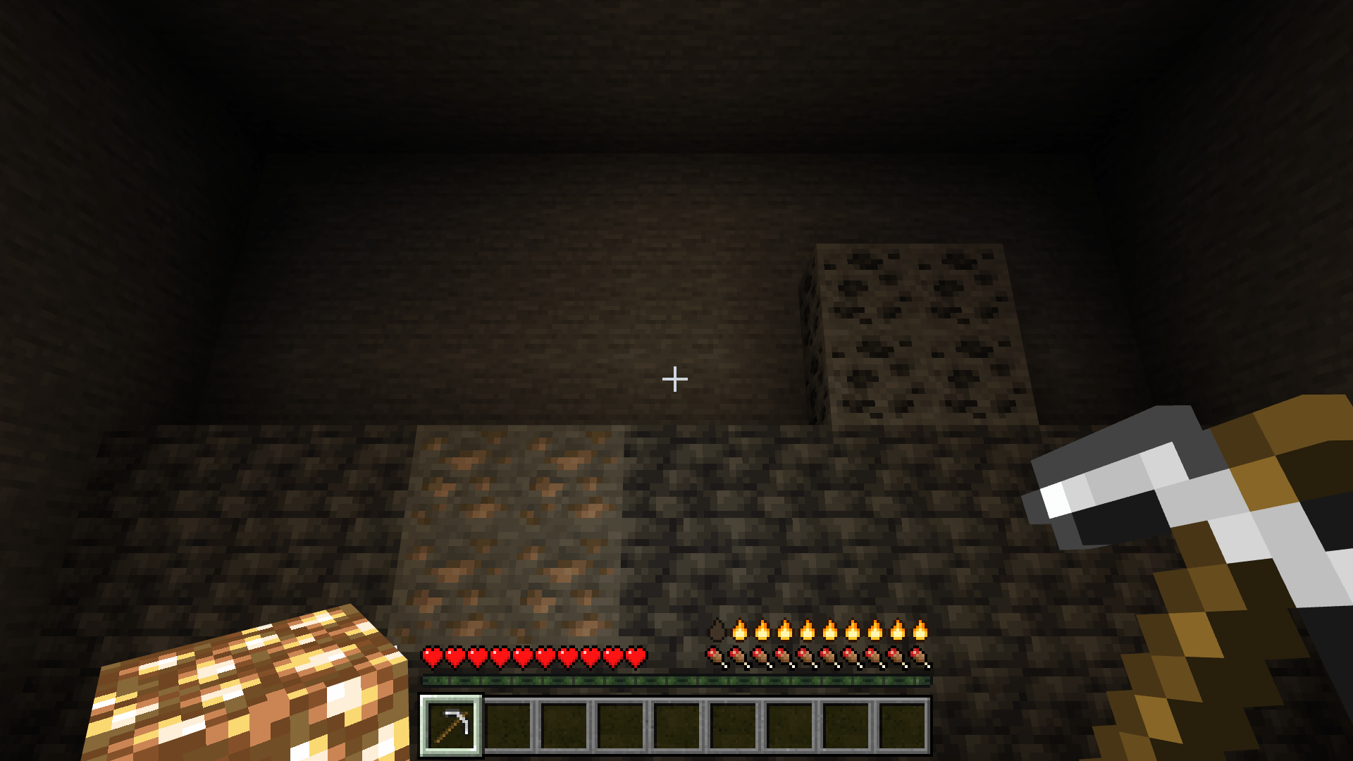 Patreon edition with Glowstone in the offhand and flame durability icons above hunger