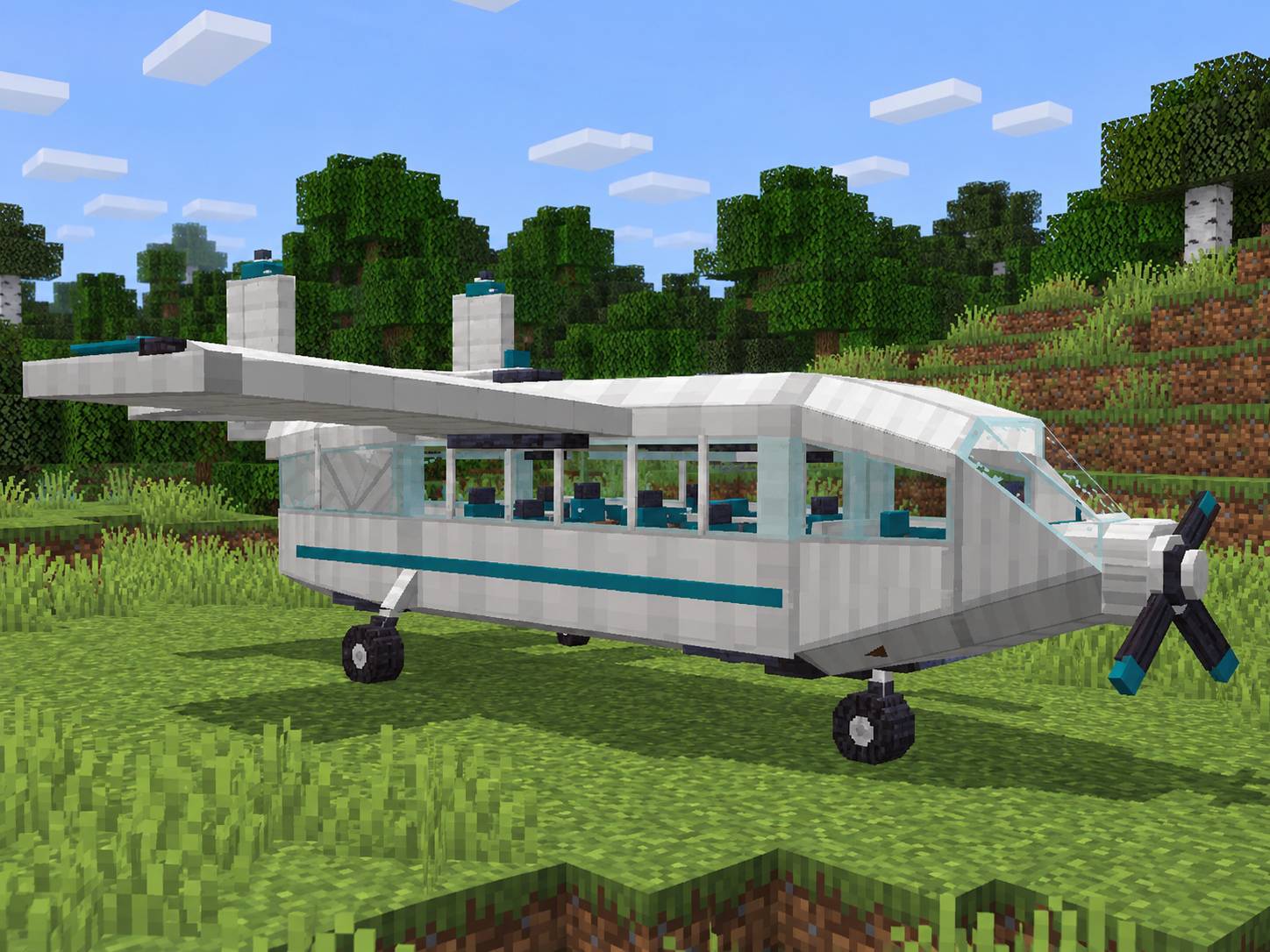 06_Avion_de_pasajeros.jpg