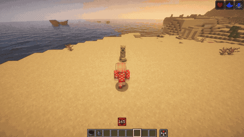 hc_ca2.gif
