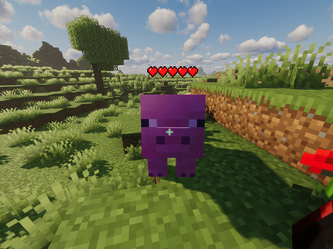 Thumbnail See the number of hearts of any kind of mob, and even players!
