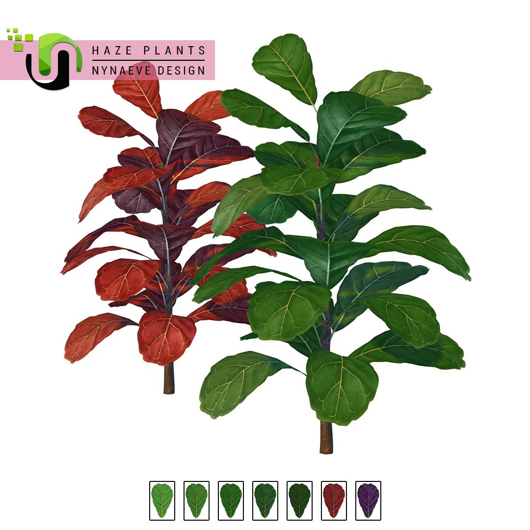 Thumbnail Haze Plants - Preview 01 - Fig Plant.jpg