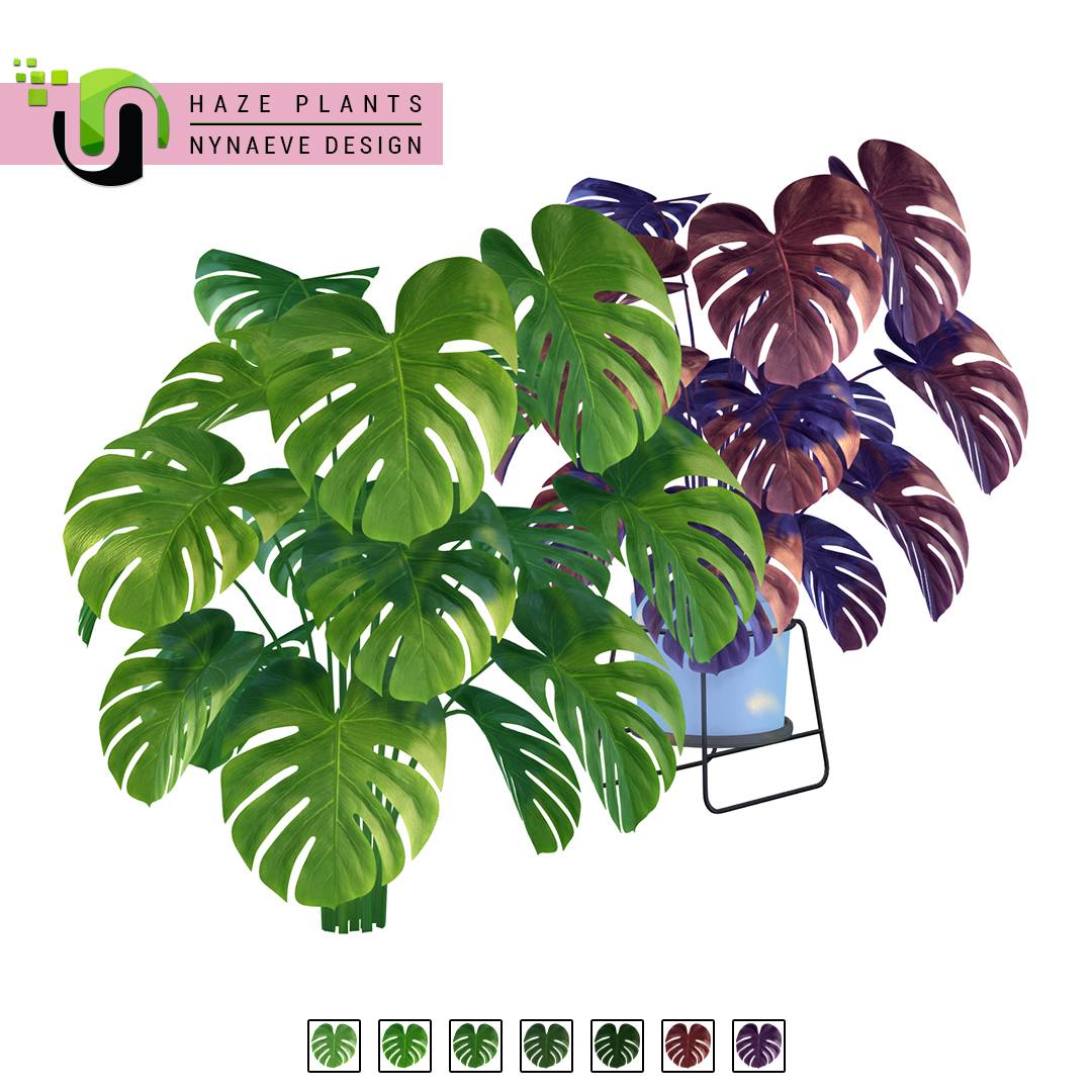 Thumbnail Haze Plants - Preview 02 - Monstera Plant.jpg